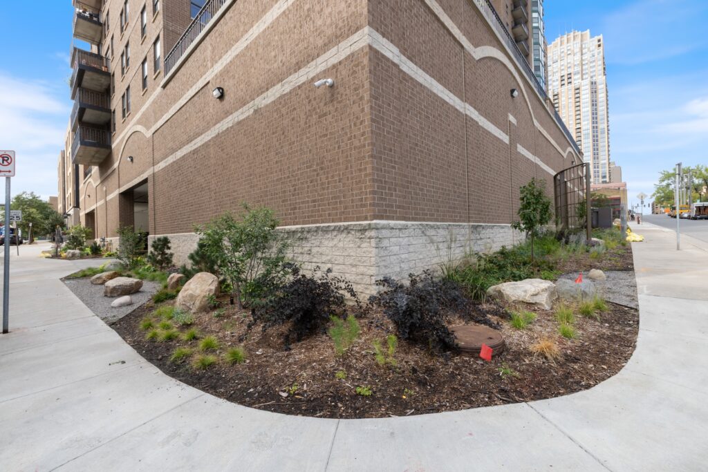 Landscaping at the corner of 5th Avenue and 1st Street